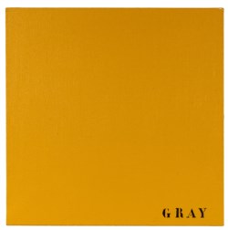 Disinformazione - Gray
