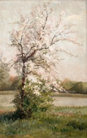 Carlo Nogaro (Asti, 1837 - Choisy-au-Bac, 1931) - Pesco in fiore