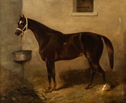 Scuola francese del XIX secolo - Il cavallo good for nothing