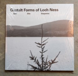 Gestalt Forms of Loch Ness. Grid Site Sequence