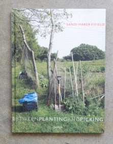 Between planting and picking