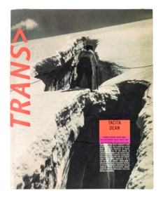 Trans> Arts, Cultures, Media # 9/10