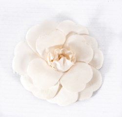 Camelia pin